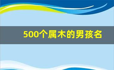 500个属木的男孩名字