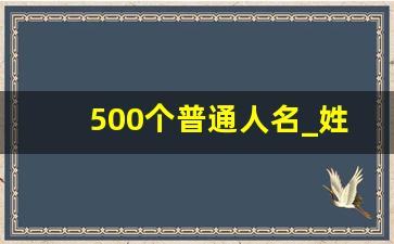 500个普通人名_姓名大全随机20000个