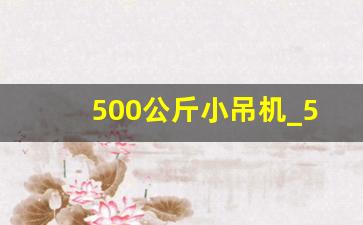 500公斤小吊机_500公斤的吊机价格多少钱