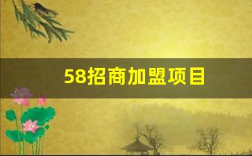 58招商加盟项目