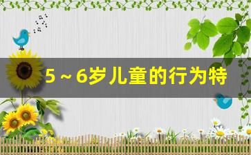 5～6岁儿童的行为特点_三岁的孩子是个什么状态