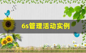 6s管理活动实例