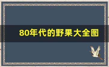 80年代的野果大全图片