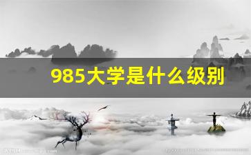 985大学是什么级别