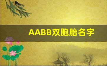 AABB双胞胎名字