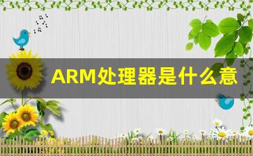 ARM处理器是什么意思