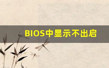 BIOS中显示不出启动项_BIOS找不到引导项