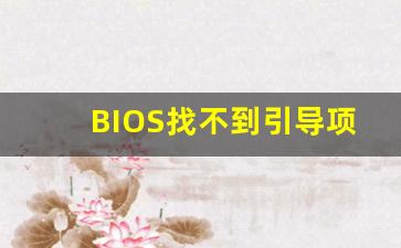 BIOS找不到引导项_BIOS中显示不出启动项