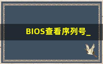 BIOS查看序列号_bios查看sn码