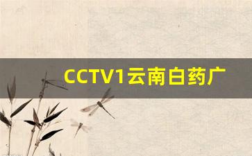 CCTV1云南白药广告_CCTV国家品牌计划一一蓝月亮