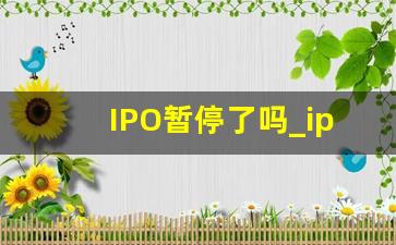 IPO暂停了吗_ipo排队中止审查