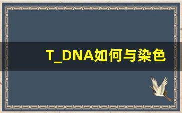 T_DNA如何与染色体整合