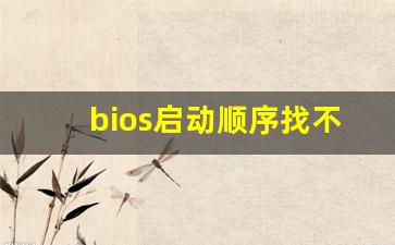 bios启动顺序找不到u盘_BIOS中显示不出启动项