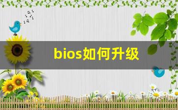 bios如何升级