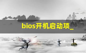 bios开机启动项_联想bios第一启动项设置方法