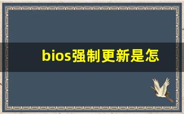 bios强制更新是怎么回事_如何让bios恢复出厂设置