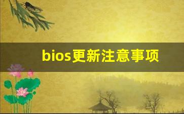 bios更新注意事项_bios如何升级