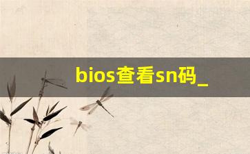 bios查看sn码_进入bios查看序列号