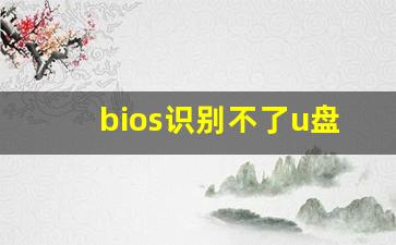 bios识别不了u盘启动盘_宏碁进去bios设置u盘启动