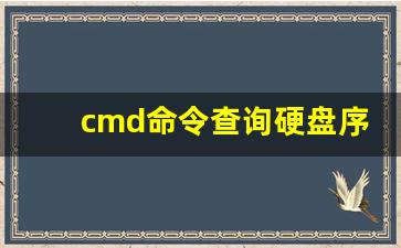 cmd命令查询硬盘序列号