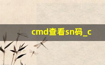 cmd查看sn码_cmd的20个基本命令