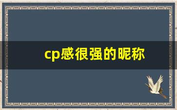 cp感很强的昵称