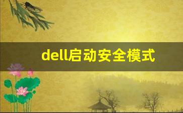 dell启动安全模式按什么键_dell开机卡在logo不转圈