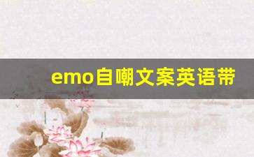 emo自嘲文案英语带翻译