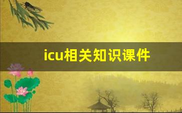 icu相关知识课件