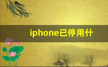 iphone已停用什么意思_苹果手机开机显示已停用