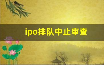 ipo排队中止审查