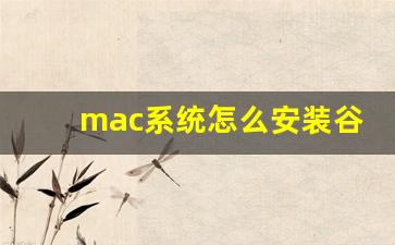 mac系统怎么安装谷歌浏览器_苹果不支持flash解决办法