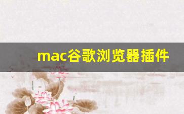 mac谷歌浏览器插件_mac不支持谷歌浏览器