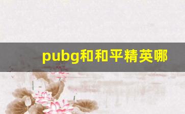 pubg和和平精英哪个难_和平精英tools