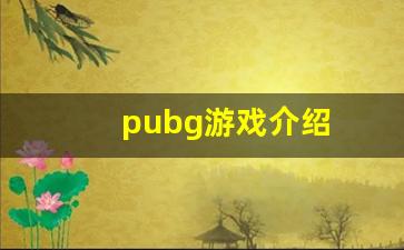 pubg游戏介绍