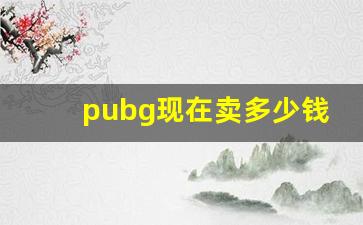 pubg现在卖多少钱