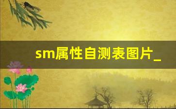 sm属性自测表图片_给m布置任务大全图表