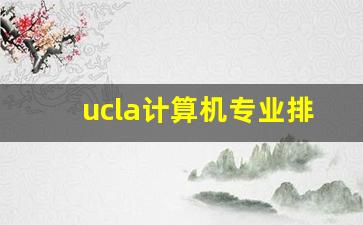 ucla计算机专业排名_美国CS专业排名