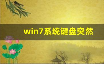 win7系统键盘突然不能用了_win7电脑新键盘无法使用