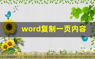 word复制一页内容_word怎么复制其中一页内容