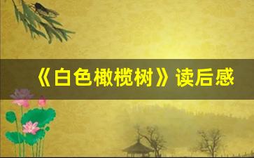 《白色橄榄树》读后感500字_《辉煌与梦想》读后感