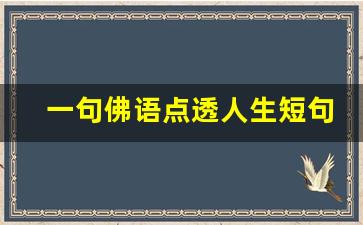 一句佛语点透人生短句_大彻大悟看透人生佛语