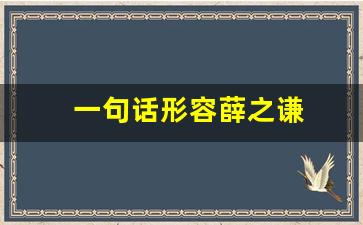 一句话形容薛之谦