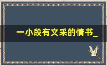 一小段有文采的情书_不带爱字却浪漫至极的文案