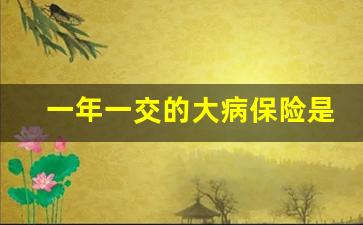 一年一交的大病保险是什么_目前最好的重疾险排名