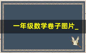 一年级数学卷子图片_一年级的卷子语文上册