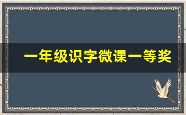 一年级识字微课一等奖