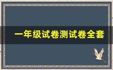 一年级试卷测试卷全套