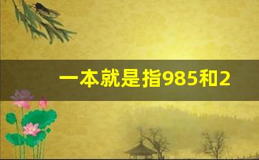 一本就是指985和211吗_稳上211大学大概多少分