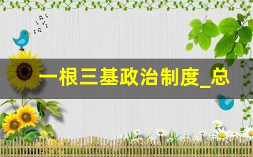 一根三基政治制度_总结一根三基人民代表大会制度